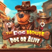 La Casa del Perro - Perro o Vivo